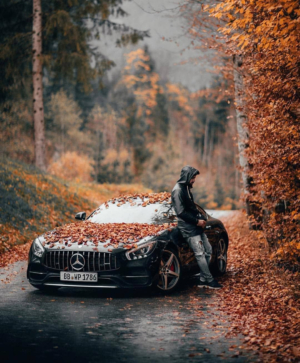 Mercedes-Benz и осень
